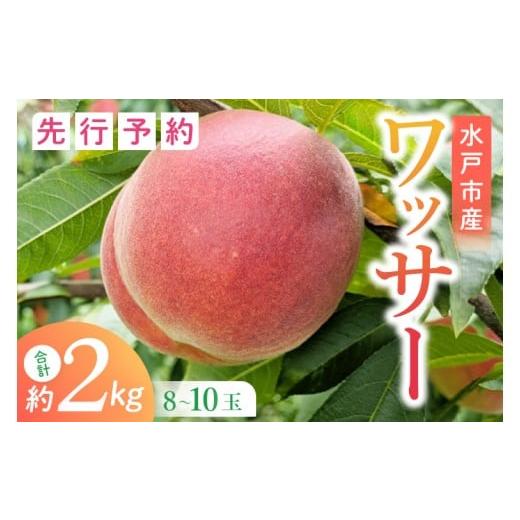 ふるさと納税 果物類 茨城県 水戸市 2026年8月上旬より順次発送 数量限定 希少品種 ワッサー 約2キロ(8-10個) フルーツ 果物 桃 ネクタリン くだもの デザ…