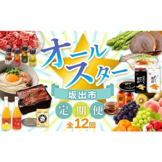 ふるさと納税 加工品等 香川県 坂出市 全12回 坂出市 オールスター定期便