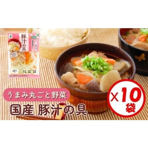 ふるさと納税 加工品等 富山県 射水市 「うまみ丸ごと野菜 国産豚汁の具 390g」×10袋 離島への配送不可