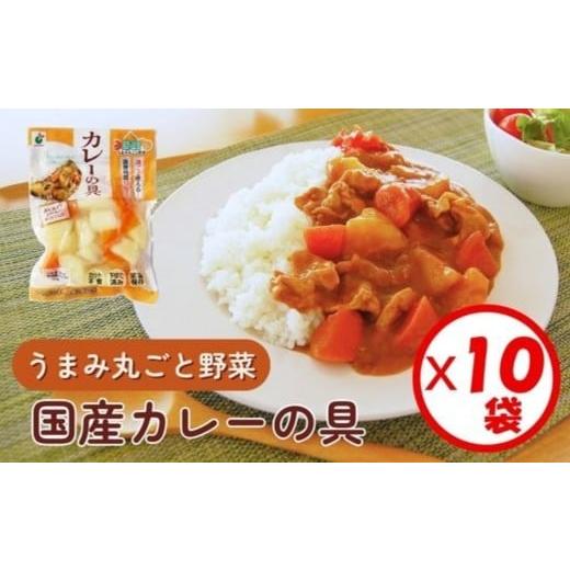 ふるさと納税 加工品等 富山県 射水市 「うまみ丸ごと野菜 国産カレーの具 300g」×10袋 離島への配送不可