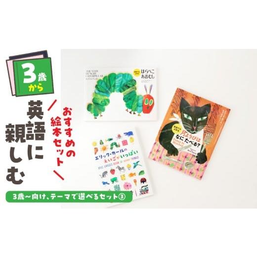 ふるさと納税 雑貨・日用品 本 東京都 新宿区 テーマ別おすすめの絵本セット 英語に親しむ絵本セット 3歳〜向け(偕成社) 新宿区 偕成社 3歳 絵本 セット 贈…