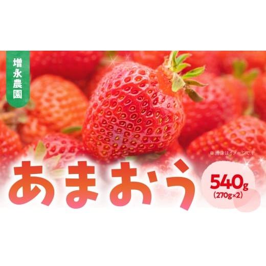ふるさと納税 いちご 福岡県 八女市 増永農園 あまおう 270g×2パック 2026年1月より順次発送 ジューシー フレッシュ 苺 スイーツ作り イチゴ 美味しい いち…