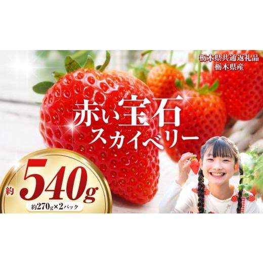 ふるさと納税 いちご 栃木県 那珂川町 栃木県共通返礼品 赤い宝石「スカイベリー」約270g×2パック | 選べる いちご 苺 とちあいか 栃木県 那珂川町 送料無料…