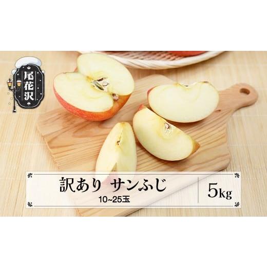 ふるさと納税 りんご 山形県 尾花沢市 先行予約 訳あり りんご サンふじ 5kg 令和8年産 2026年産 12月上旬~1月中旬頃発送 山形県産 フルーツ 果物 ns-risfw5-b…