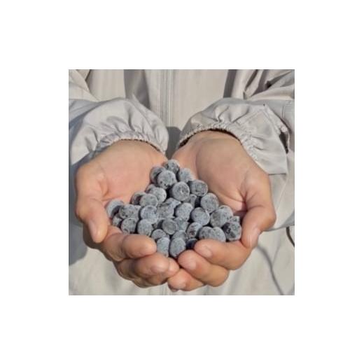 ふるさと納税 果物類 神奈川県 愛川町 冷凍ブルーベリー 1kg 1707397