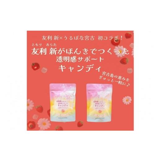 ふるさと納税 飴(あめ) 沖縄県 宮古島市 CE135 友利新がほんきでつくった透明感サポートキャンディ (32.5g×3袋)