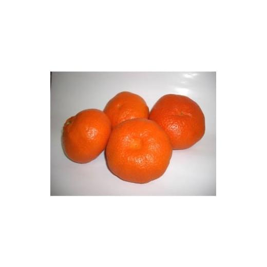 ふるさと納税 みかん・柑橘類 愛媛県 八幡浜市 甘平 家庭用 約3kg D76-19 1707399