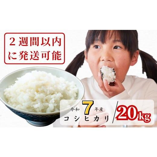 ふるさと納税 米 コシヒカリ 岡山県 西粟倉村 令和7年産 あわくら源流米 コシヒカリ白米 20kg|西粟倉村産・昼夜寒暖差が育む甘み|ふるさと納税 K-ak-AEIA