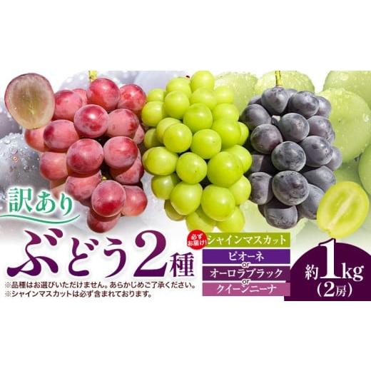 ふるさと納税 果物類 ぶどう 岡山県 浅口市 訳あり ぶどう 2種 セット 約1kg ( 2房 ) シャインマスカット + ピオーネ or クイーンニーナ or オーロラブラック…