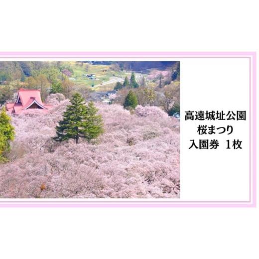 ふるさと納税 入場券・優待券 長野県 伊那市 桜 チケット 高遠城址公園 桜まつり入園券 1枚 | 観光 チケット 高遠 城址 公園 桜 まつり さくら 祭り 入園券 …