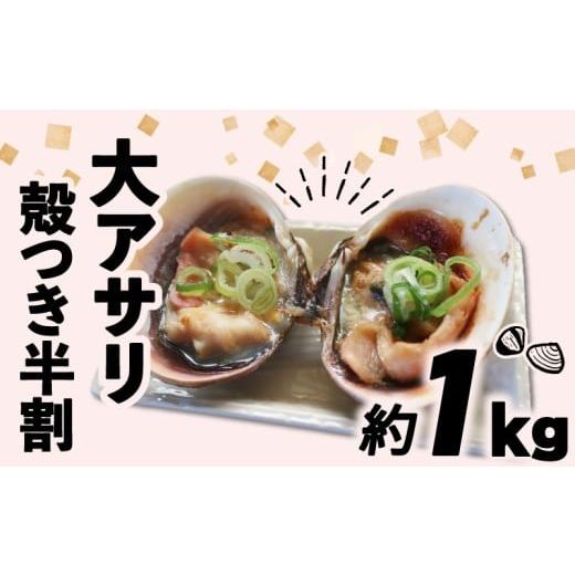 ふるさと納税 魚貝類 あさり 愛知県 南知多町 限定寄附額 大アサリ 半割 約1kg 数量限定 大あさり半割 約1kg:9,000円