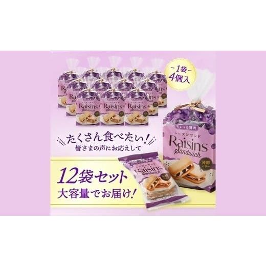 ふるさと納税 焼菓子・チョコレート 群馬県 高崎市 25134 ちょっと贅沢レーズンサンド