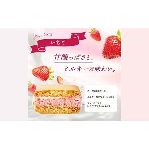 ふるさと納税 焼菓子・チョコレート 群馬県 高崎市 25135 たっぷりショコラサンドクッキー いちご