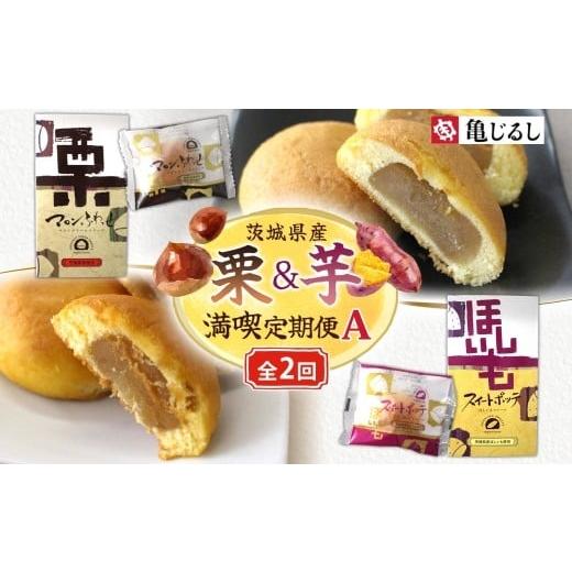 ふるさと納税 和菓子 茨城県 水戸市 2ヶ月定期便 亀印製菓 茨城県産栗&芋満喫定期便A マロンふわっせ スイートポッテ 栗 笠間栗 くり 干し芋 さつまいも 和 …