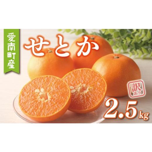 ふるさと納税 みかん・柑橘類 愛媛県 愛南町 数量限定 先行予約 訳あり せとか 2.5kg 7000円 わけあり setoka 高級 人気 ブランド プレミアム 産地直送 農家直…