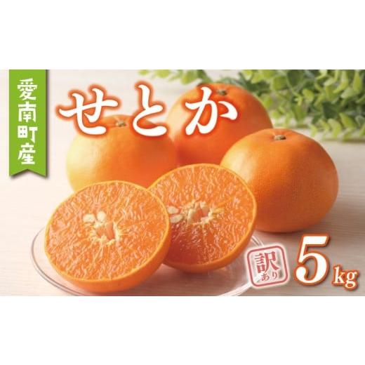 ふるさと納税 みかん・柑橘類 愛媛県 愛南町 数量限定 先行予約 訳あり せとか 5kg 10000円 わけあり setoka 高級 人気 ブランド プレミアム 産地直送 農家直…