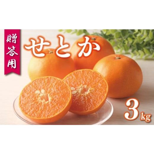 ふるさと納税 みかん・柑橘類 愛媛県 愛南町 数量限定 先行予約 贈答用 せとか 3kg 化粧箱 入り 15000円 setoka 高級 人気 ブランド プレミアム 産地直送 農家…