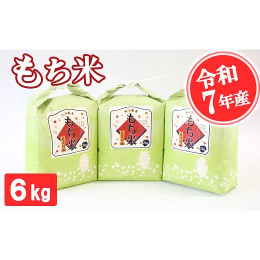 ふるさと納税 米・パン もち米 熊本県 南関町 令和7年産 もち米 6kg 精米 熊本県 南関町産 産地直送 餅 赤飯 おこわ