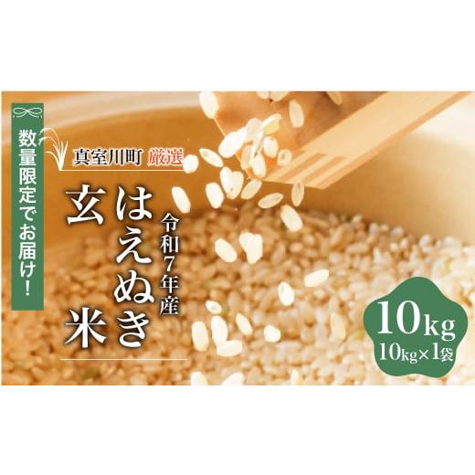 ふるさと納税 玄米 山形県 真室川町 数量限定 令和7年産 はえぬき 玄米 10kg (10kg×1袋) 配送時期指定可 真室川町