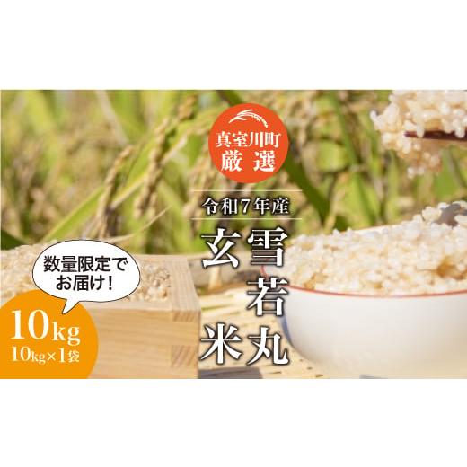 ふるさと納税 玄米 山形県 真室川町 数量限定 令和7年産 雪若丸 玄米 10kg (10kg×1袋) 配送時期指定可 真室川町