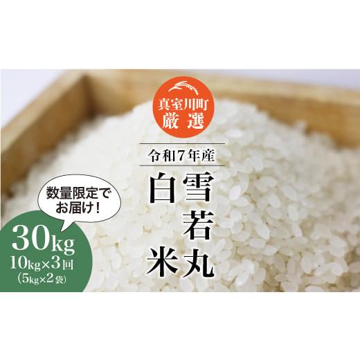 ふるさと納税 米 山形県 真室川町 数量限定 令和7年産 雪若丸 白米 定期便 30kg (10kg×1ヶ月間隔3回発送) 配送時期指定可 真室川町