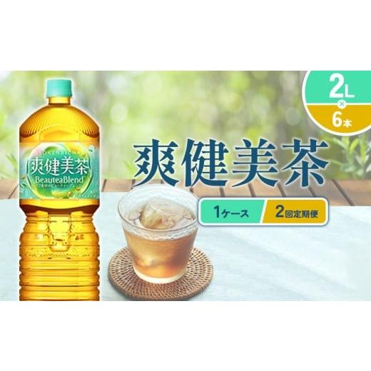ふるさと納税 お茶類 宮崎県 えびの市 2回定期便 爽健美茶 2L PET コカ・コーラ ペットボトル 1ケース(6本) セット お茶 カフェインゼロ ノンカフェイン ハ…