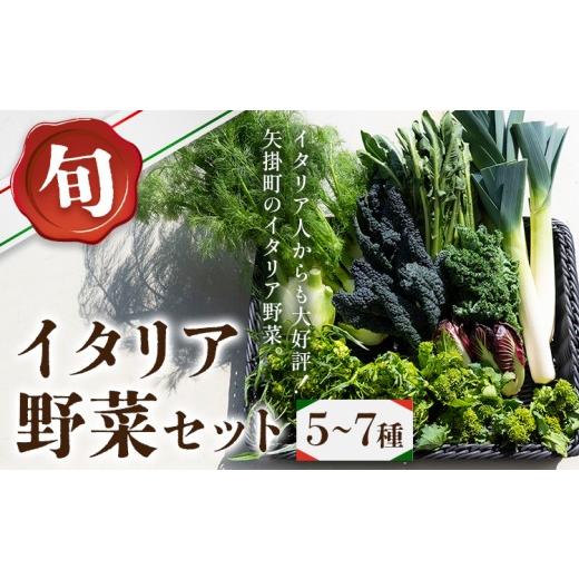 ふるさと納税 セット・詰合せ 岡山県 矢掛町 旬のイタリア野菜セット 5〜7種 先行予約 [2026年11月下旬-3月中旬頃出荷]JA晴れの国 矢掛アグリセンター 野菜 …