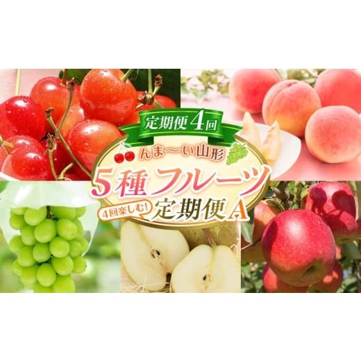 ふるさと納税 果物類 さくらんぼ 山形県 山形市 定期便4回 んま〜い山形 5種フルーツ 4回楽しむ 定期便A(さくらんぼ佐藤錦、白桃、シャインマスカット、ラ・…