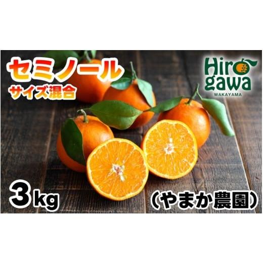 ふるさと納税 みかん・柑橘類 和歌山県 広川町 セミノール 3kg サイズ混合 M〜2L / 秀品 優品 甘い 和歌山 有田 柑橘 4月下旬〜5月上旬に順次発送 ymk016-r-3…