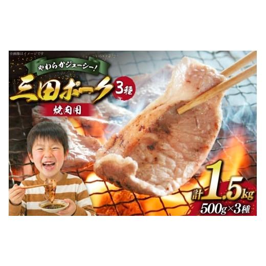 ふるさと納税 豚肉 焼肉・バーベキュー 兵庫県 三田市 豚肉 小分け 兵庫県産 三田ポーク 焼肉用 3種 500g 計 1.5kg ロース 肩ロース バラ セット パスカルさん…