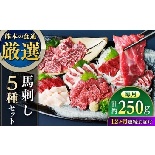 ふるさと納税 馬肉 熊本県 合志市  全12回定期便 馬刺し 5種 盛り合わせセット 5人前 約250g 熊本直送 株式会社Foody’s AYAT034の画像