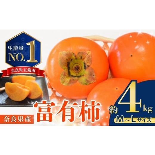 ふるさと納税 果物類 柿 奈良県 五條市 濃厚な甘み 富有柿 約 4kg (MまたはLサイズ) | 富有柿 柿 かき フルーツ 果物 くだもの カキ 農家直送 家庭用 贈答 …