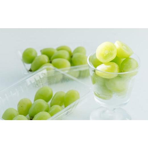 ふるさと納税 ぶどう マスカット 岡山県 美咲町 正金農園より直送 農薬節減 訳あり シャインマスカット (粒タイプ) 4パック入 (計1,080g) 2026年8月上旬-…