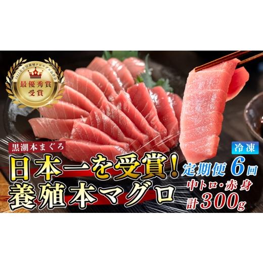 ふるさと納税 マグロ 高知県 大月町 まぐろ マグロ 本鮪 黒潮本まぐろ 中トロ 赤身 定期便 6回 計300g × 6回 刺身 さしみ 最優秀賞 全国養殖クロマグロ品評会…の画像