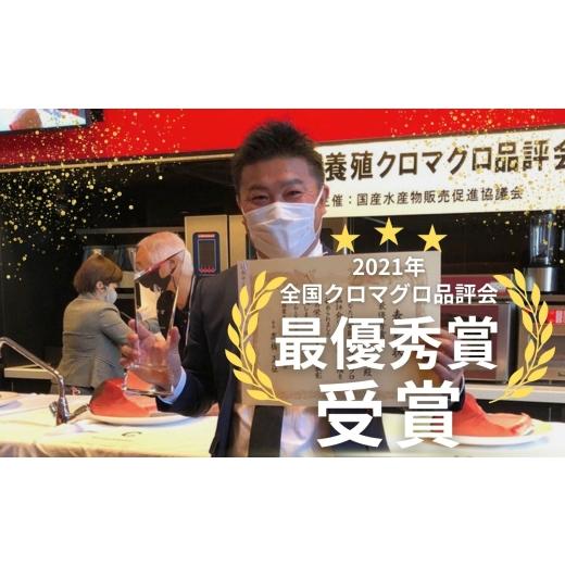 ふるさと納税 マグロ 高知県 大月町 まぐろ マグロ 本鮪 黒潮本まぐろ 中トロ 赤身 定期便 6回 計300g × 6回 刺身 さしみ 最優秀賞 全国養殖クロマグロ品評会…の画像