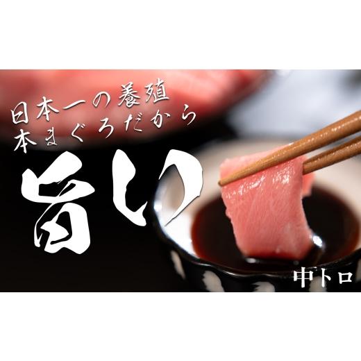 ふるさと納税 マグロ 高知県 大月町 まぐろ マグロ 本鮪 黒潮本まぐろ 中トロ 赤身 定期便 6回 計300g × 6回 刺身 さしみ 最優秀賞 全国養殖クロマグロ品評会…の画像