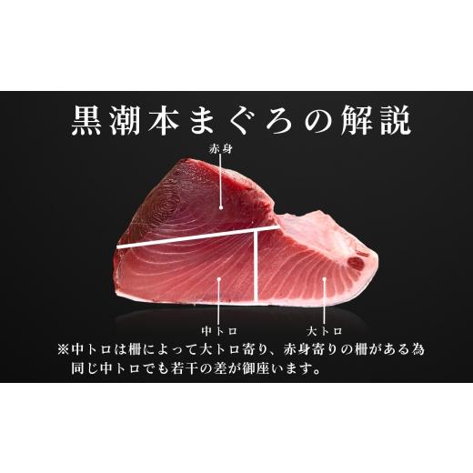ふるさと納税 マグロ 高知県 大月町 まぐろ マグロ 本鮪 黒潮本まぐろ 中トロ 赤身 定期便 6回 計300g × 6回 刺身 さしみ 最優秀賞 全国養殖クロマグロ品評会…の画像