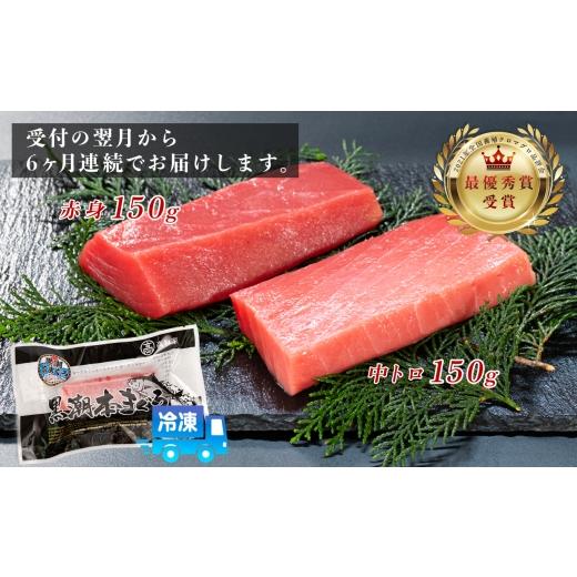 ふるさと納税 マグロ 高知県 大月町 まぐろ マグロ 本鮪 黒潮本まぐろ 中トロ 赤身 定期便 6回 計300g × 6回 刺身 さしみ 最優秀賞 全国養殖クロマグロ品評会…の画像