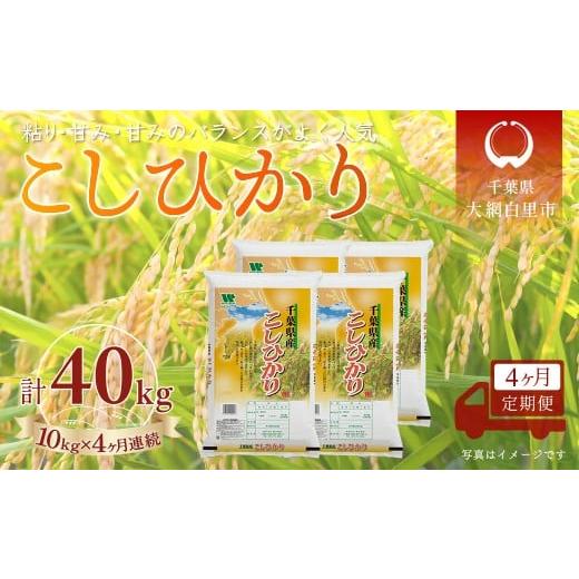 ふるさと納税 米 コシヒカリ 千葉県 大網白里市 4か月定期便 千葉県産「コシヒカリ」精米 10kg×4か月連続 計40kg_1
