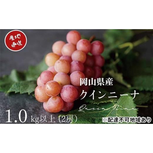 ふるさと納税 ぶどう 岡山県 高梁市   厳選 クイーンニーナ 2房 合計1.0kg以上 産地直送 朝採れ ぶどう 葡萄 Kawahara green Farm 岡山県産 2026…