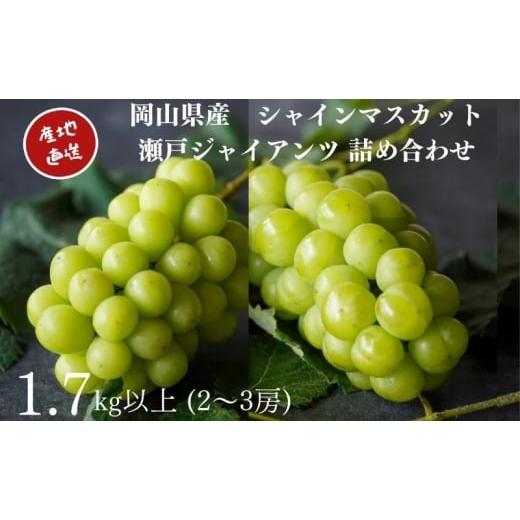 ふるさと納税 ぶどう マスカット 岡山県 高梁市   厳選 シャインマスカット・瀬戸ジャイアンツ 2〜3房 合計1.7kg以上 詰合せ 産地直送 朝採れ ぶ…