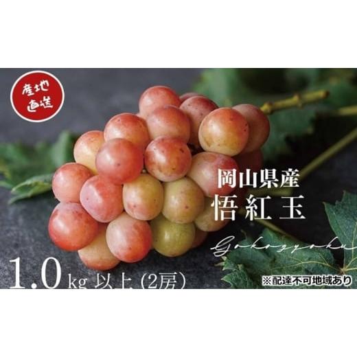ふるさと納税 ぶどう 岡山県 高梁市   ぶどう 悟紅玉 旧ゴルビー 2房 合計1.0kg以上 産地直送 朝採れ ぶどう 葡萄 岡山 Kawahara green Farm 岡山…