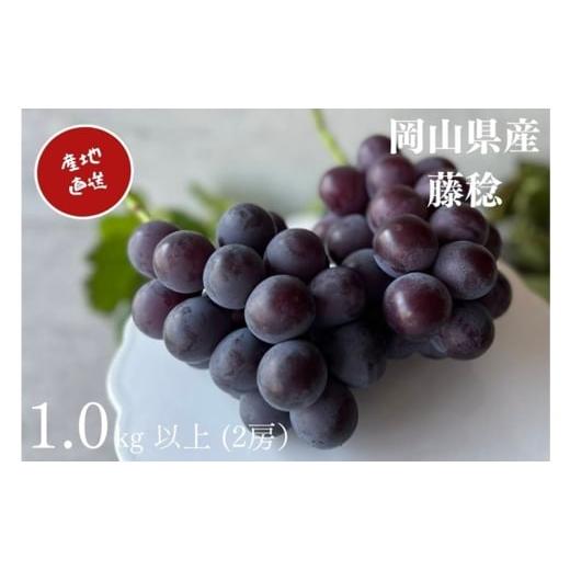 ふるさと納税 ぶどう 岡山県 高梁市   ぶどう 藤稔 2房 合計1.0kg以上 産地直送 朝採れ ぶどう 葡萄 岡山 Kawahara green Farm 岡山県産 2026年