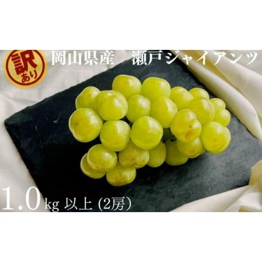 ふるさと納税 ぶどう 岡山県 高梁市   訳あり 瀬戸ジャイアンツ 2房 合計1.0kg以上 産地直送 朝採れ ぶどう 葡萄 岡山 Kawahara green Farm 岡山…