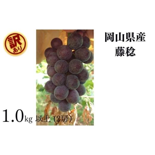 ふるさと納税 果物類 ぶどう 岡山県 高梁市   訳あり 藤稔 2房 合計1.0kg以上 産地直送 朝採れ ぶどう 葡萄 岡山 Kawahara green Farm 2026年 先…