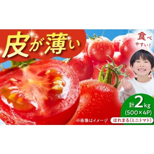ふるさと納税 トマト ミニトマト 北海道 喜茂別町 2026年7月以降順次発送 喜茂別産 採れたてミニトマト 『ほれまる』 (500g×4パック)[喜茂別町] 富田農…