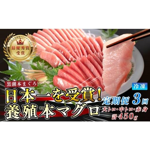 ふるさと納税 マグロ 高知県 大月町 まぐろ マグロ 本鮪 黒潮本まぐろ 大トロ 中トロ 赤身 定期便 3回 計450g × 3回 刺身 さしみ 最優秀賞 全国養殖クロマグ…
