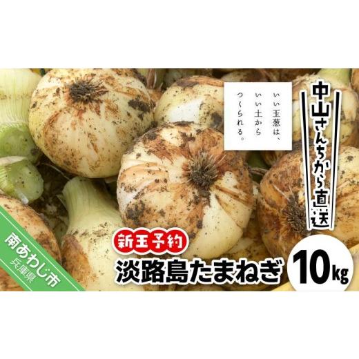 ふるさと納税 野菜類 玉ねぎ 兵庫県 南あわじ市  新玉予約 中山さんちから直送 淡路島たまねぎ10kg  R8.3月下旬〜発送 新玉 10kg（使いやすいM〜Lサイズ 40…の画像