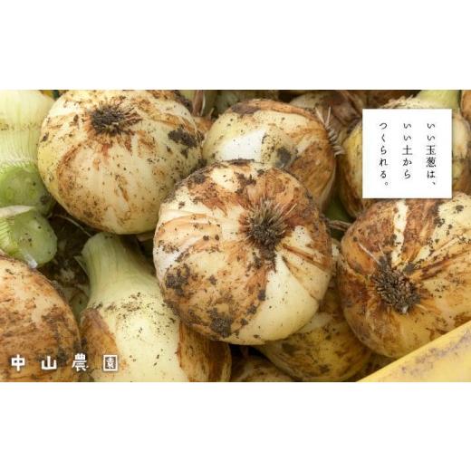 ふるさと納税 野菜類 玉ねぎ 兵庫県 南あわじ市  新玉予約 中山さんちから直送 淡路島たまねぎ10kg  R8.3月下旬〜発送 新玉 10kg（使いやすいM〜Lサイズ 40…の画像
