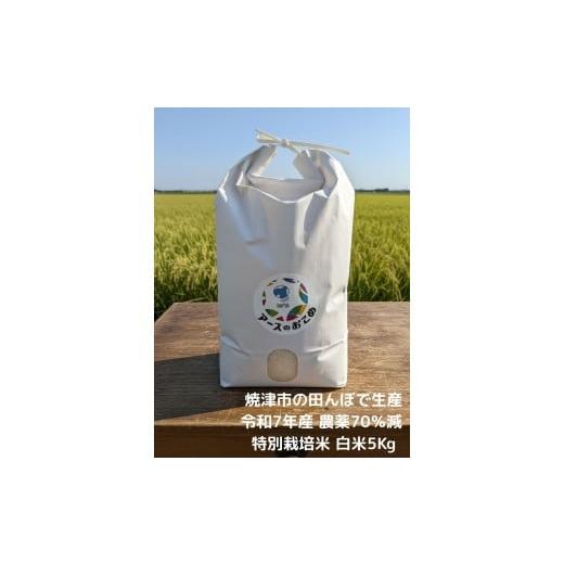 ふるさと納税 米 静岡県 焼津市 a21-083 令和7年産 アースのおこめ 農薬70%減 特別栽培米 白米5Kg